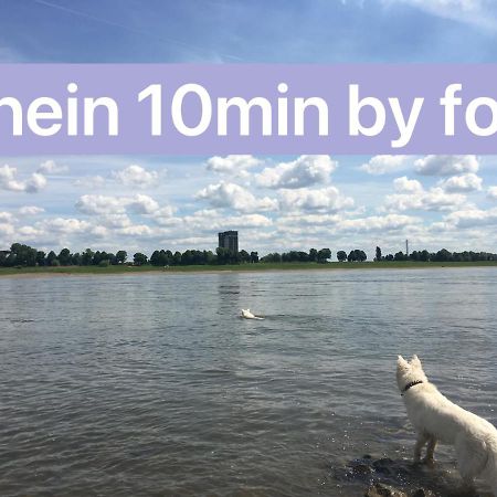 דיסבורג Igo Apartment 2 Schlafenzimmer Mit Waschmaschine Trockner Haustier Rheinufer 5Min Netflix Disney Plus 17-6 מראה חיצוני תמונה