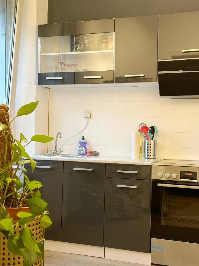 דיסבורג Igo Apartment 2 Schlafenzimmer Mit Waschmaschine Trockner Haustier Rheinufer 5Min Netflix Disney Plus 17-6 מראה חיצוני תמונה